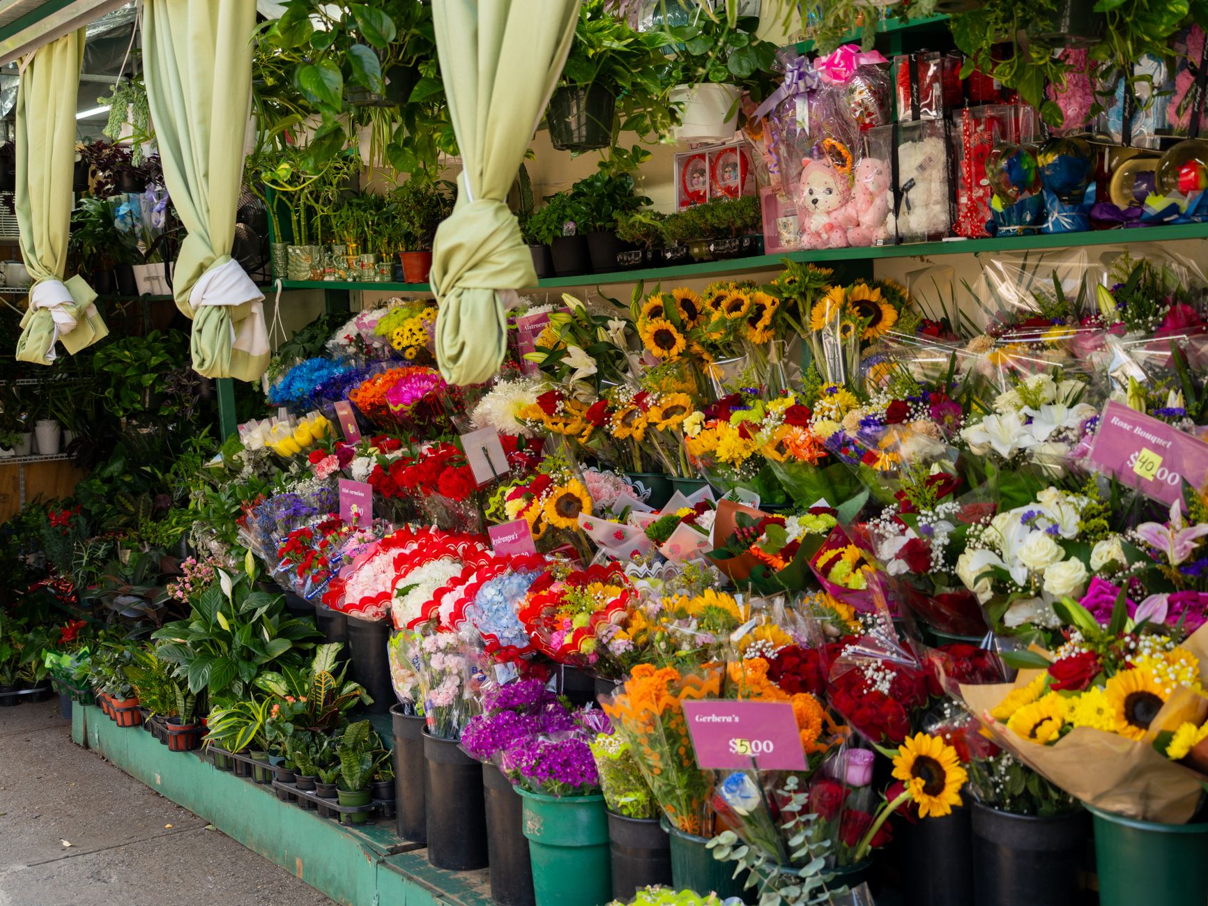 Bright and colorful flower shop display featuring sunflowers, roses, and more in vibrant bouquets.